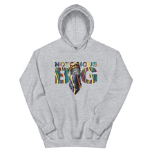 Load image into Gallery viewer, Big Coogi Hoodie